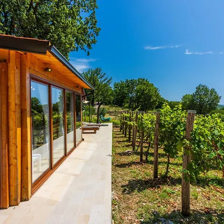 Wine Garden House Holiday home *