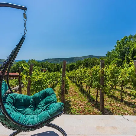 Holiday home Wine Garden House