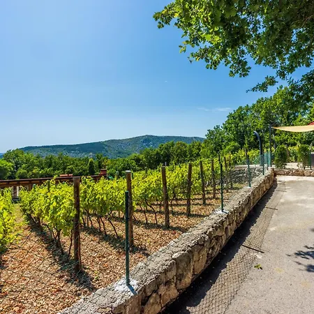 Holiday home Wine Garden House