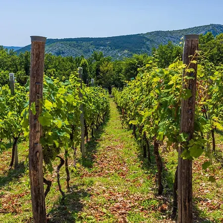 Wine Garden House * Grizane-Belgrad
