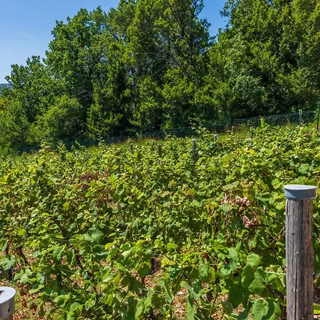 Wine Garden House