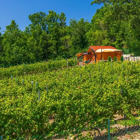 Holiday home Wine Garden House *