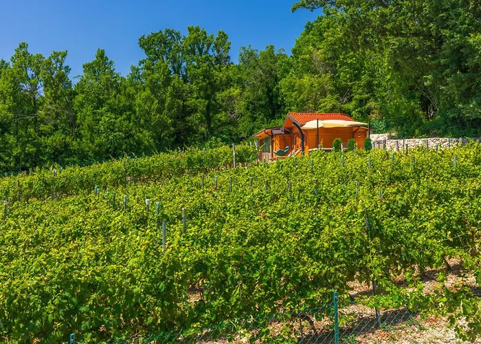 Ferienhaus Wine Garden House *
