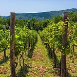 Wine Garden House * Grižane