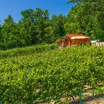 Dom wakacyjny Wine Garden House *