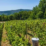 Wine Garden House