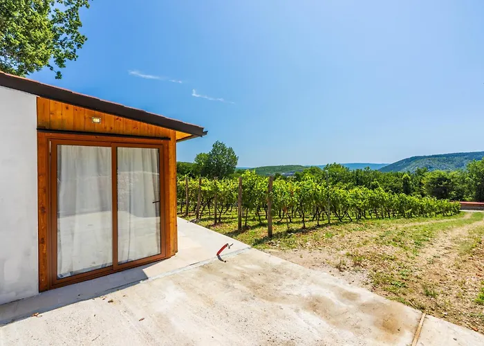 Tatil Evi Wine Garden House Grižane
