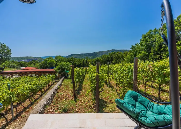 Wine Garden House Grižane