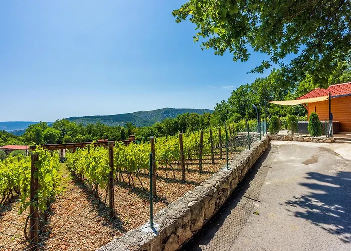 Tatil Evi Wine Garden House