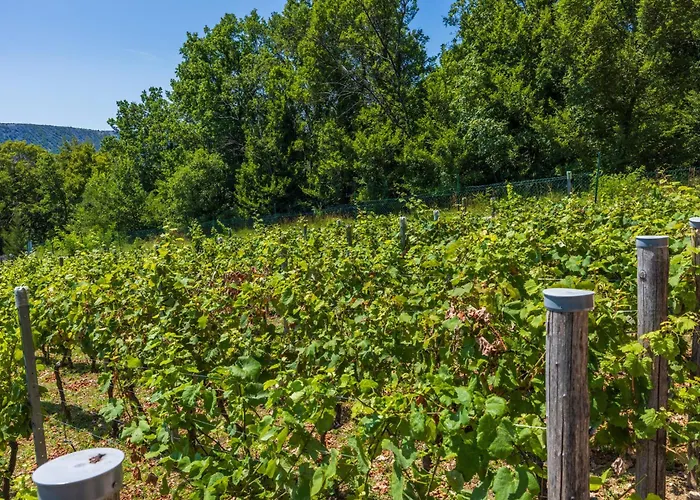 Wine Garden House